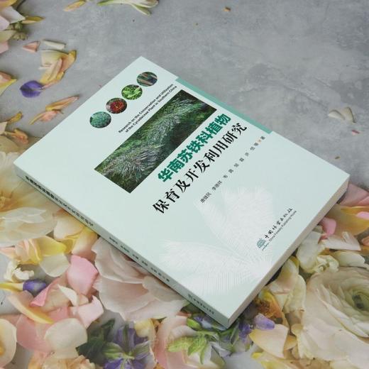 华南苏铁科植物保育及开发利用研究 &2849 商品图1