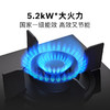 博世（BOSCH）4系5.2kW大火力 家用嵌入式双灶头燃气灶 秒速点火 易清洁灶头 安全熄火保护 玻璃面板 一级能效 天然气 PDBMTA31MP 商品缩略图4