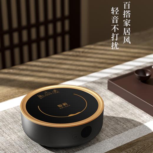 智蔚 谷语电陶炉ZW-306 1300W 商品图1