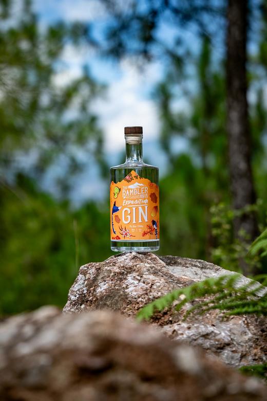 漫游者探险力量金酒 商品图0