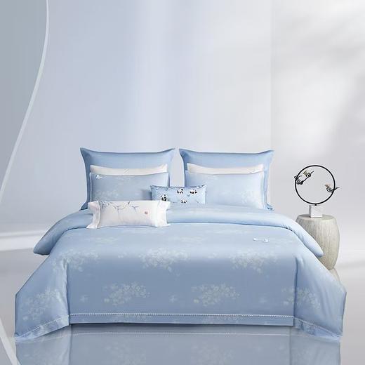 梦洁 天丝棉四件套 常安宁 商品图0