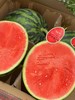 赤霞甘美4K无籽西瓜  好吃的甘美西瓜 商品缩略图4