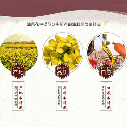 CD厨道一级菜籽油 商品图3