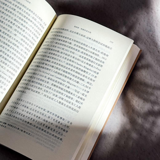 审美、行动与乌托邦 威廉·莫里斯的政治思想 欧诺弥亚·不列颠古典法学丛编 商品图11