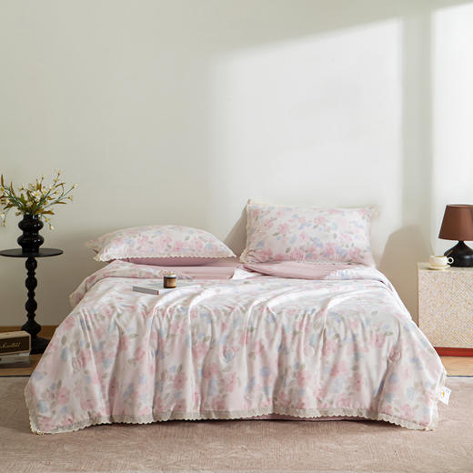 【5折购】A类双层纱大豆夏凉被空调被夏被四件套 商品图0