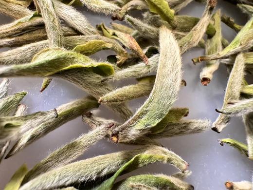 2025春 老树银针 甜度高滋味足  福鼎白茶 商品图2