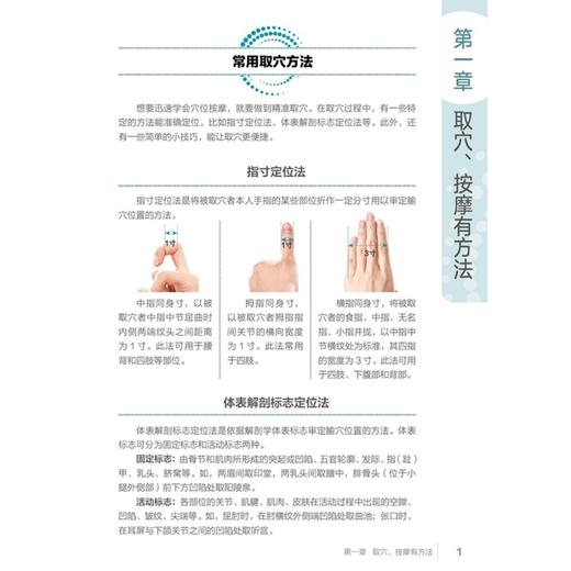 取穴按摩速查大全：视频版 商品图4