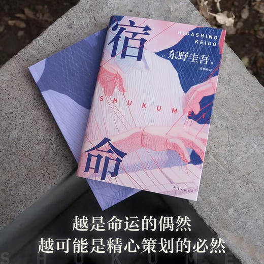 宿命 东野圭吾宿命感拉满的双男主力作 商品图2