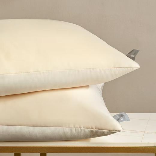 梦洁  珍丝臻柔大豆纤维对枕：福禄连连【48*68*1对】 商品图2