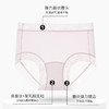 【樱姿娜上新】山茶花聚乳酸内裤85027，山茶花聚乳酸内裤，冰氧无痕，舒适透气，6条礼盒装 商品缩略图4