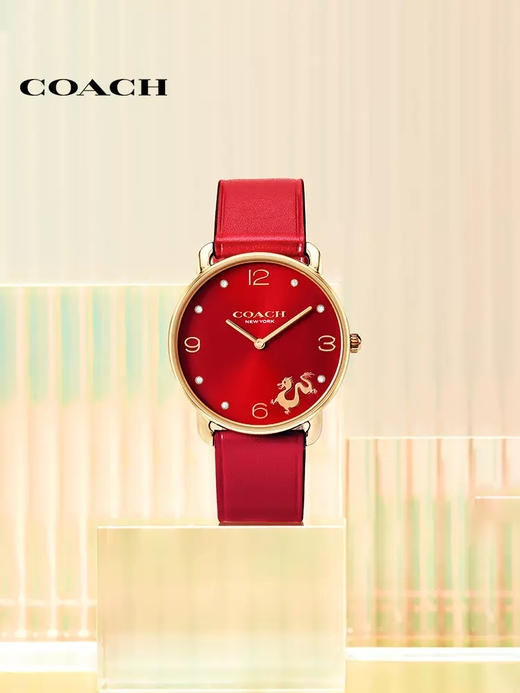 【品牌授权】COACH蔻驰蛇年限定腕表 【2年质保】鸿运蛇  富贵蛇 老花镶钻 礼盒 商品图13