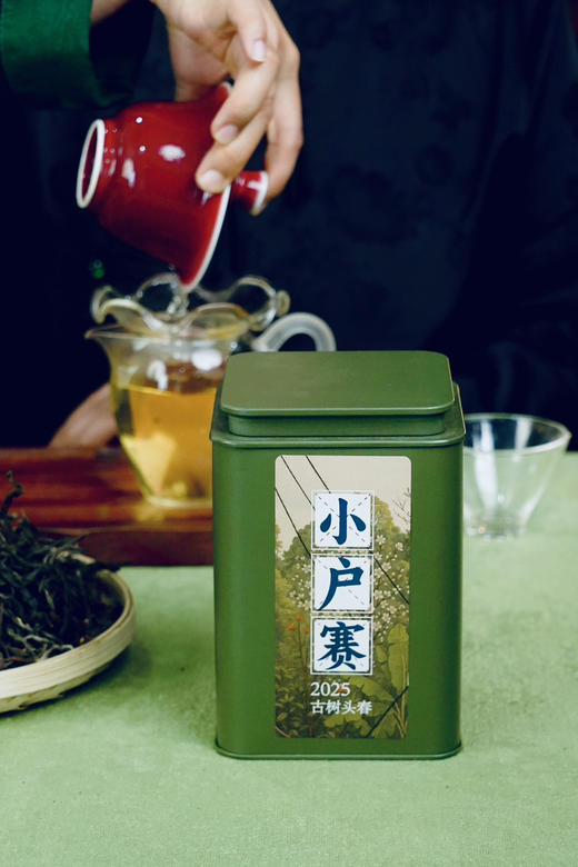 【2025年小户赛头春古树茶】不用冰岛的价格，也能享受冰糖甜 商品图1
