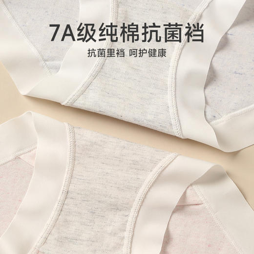 【3条装】女士内裤抗菌棉质  100%棉里裆 提臀中腰三角裤   芬腾 商品图4