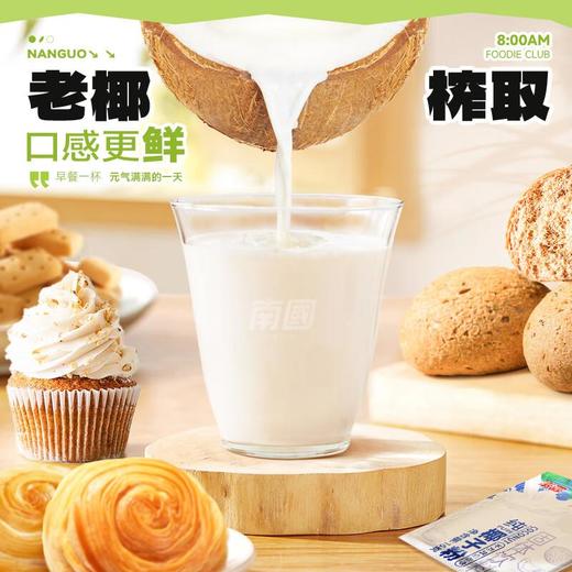 南国纯椰子粉160g 商品图4