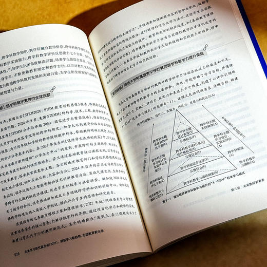 未来学习研究蓝皮书 2025 洞察学习新趋势 走进教育新未来 杨振峰 商品图12