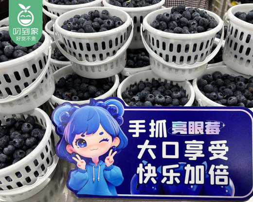 大凉山优瑞卡日出蓝莓中果量贩桶（400g±25g/桶） 商品图2