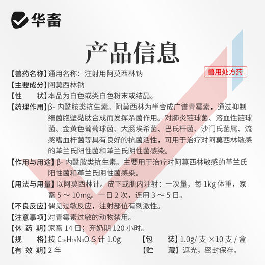 华畜 1g*10支注射用阿莫西林钠 抗菌消炎 混合感染 胸膜肺炎 商品图4