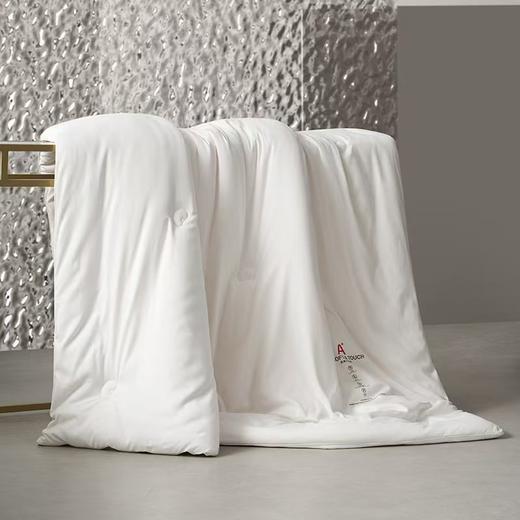 梦洁 亲柔A类抗菌大豆四季被：喜乐 商品图2