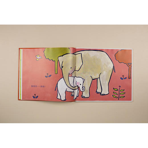 【独秀书香卡】魔法象·图画书王国  小象  0~3岁  儿童故事  儿童绘本 商品图6