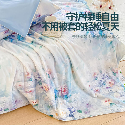 ROMASTER(罗马世家)冷暖双面夏凉被富含大豆纤维A类标准数码印花亲肤透气10款可选（单被子无枕头） 商品图1