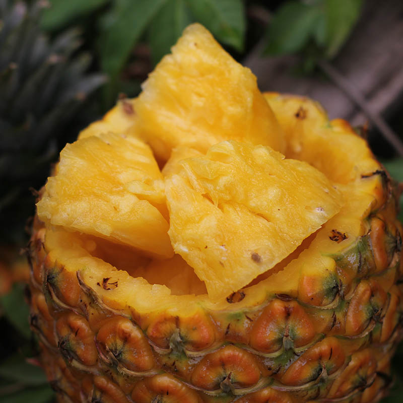 【顺丰】乡食记 | 海南芒果凤梨 树上熟 高糖度 金黄的果肉 爆甜多汁【售后：签收24小时内坏果与快递面单放在一起摆拍】