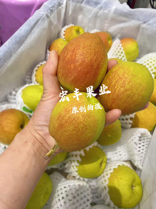 宏丰精选，正宗库尔勒香梨，口感脆甜，水份足，活动价9.9元一斤 商品图12