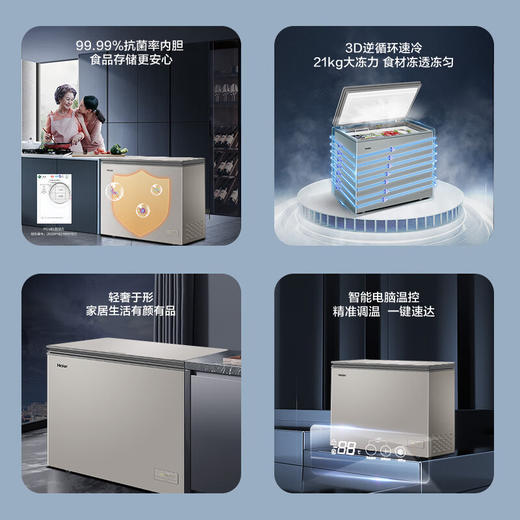 海尔（Haier）203升智控彩晶低霜商用家用冰柜 冷藏柜冷冻柜 商品图1