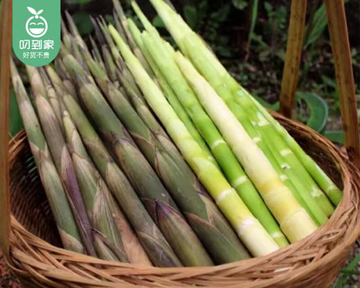 江西天然小竹笋（未剥）/1箱（2kg±100g） 商品图1