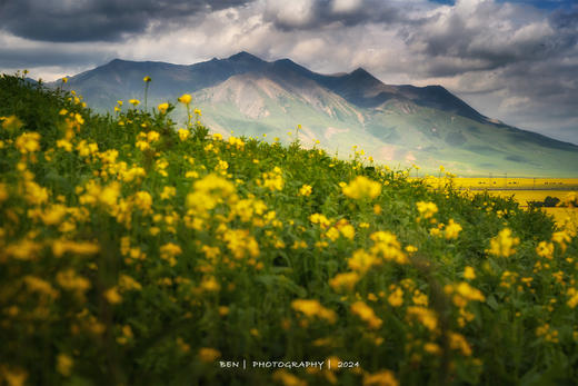 甘青环线——天境祁连、门源油菜花海、黄河石林、永泰古城、秘境丹霞、山丹军马场、马蹄寺石窟8天摄影团 商品图1