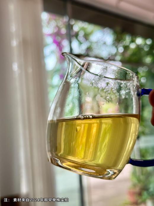 2025年春茶【那罕单株】 选自那罕组46号茶农李贵宏家古树；古寨春拥有那罕茶祖采摘权；500克/箱 数量稀少 商品图3