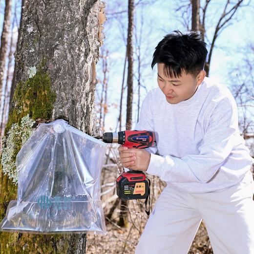 【斌哥优选】嘉桦浓缩白桦树汁,斌哥伊春溯源今年新汁。行业开创者，标准制定者，品质领航者。给大家带来优中选优的桦树汁。60多种营养物质。 商品图4