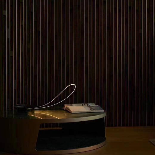 摩根梦露系列聚光台灯复古灰 商品图5