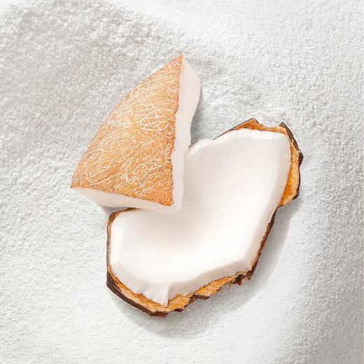 南国纯椰子粉160g 商品图3