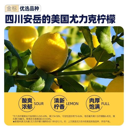 每鲜说冻干柠檬片 尤克力柠檬 人工精选 片片饱满 商品图4