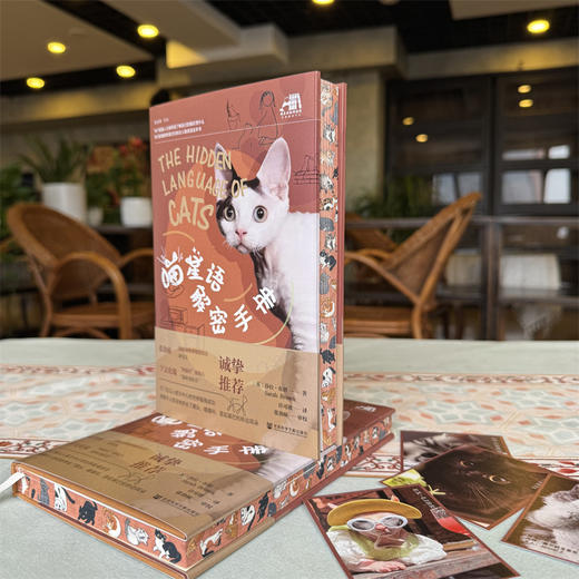 喵星语解密手册 特装版 读懂小猫 猫猫拯救世界 商品图1