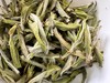2025春 极枞·初芽 米芽级 白毫银针 福鼎白茶  250克起 商品缩略图4