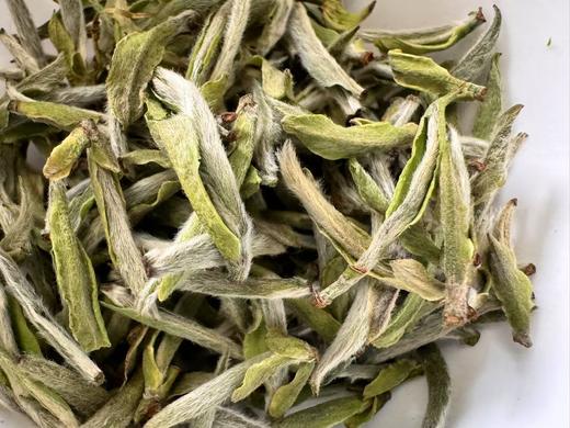 2025春 极枞·初芽 米芽级 白毫银针 福鼎白茶  250克起 商品图4