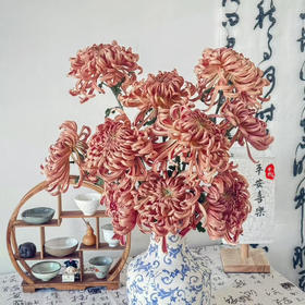 热卖国产维也纳菊5支