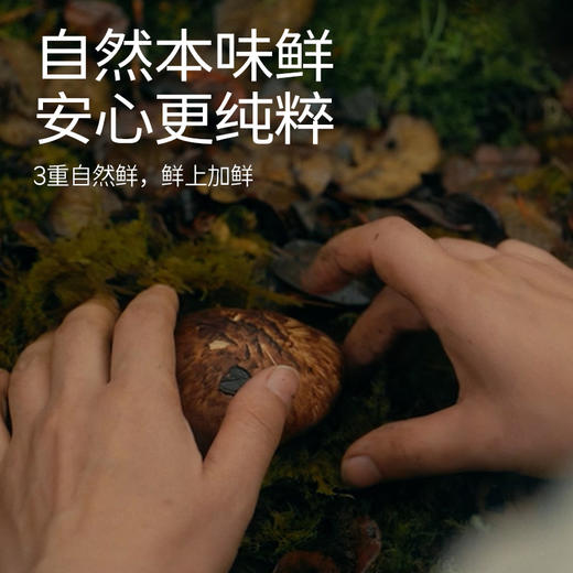 【松鲜鲜凉拌汁】香辣轻负担鲜爽酸辣 0 添加  减脂吃得香 商品图1