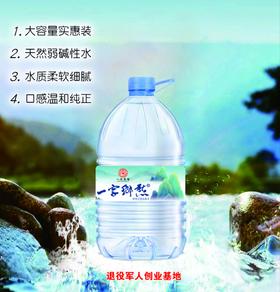 0591 【国企严选，山海食材】 龙台山泉水15升*10桶