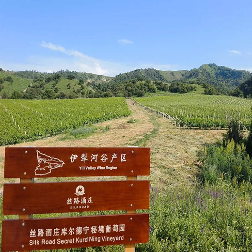 丝路酒庄新疆伊犁河谷产区女士半甜型桃红葡萄酒情人节婚宴礼盒装送礼 商品图4