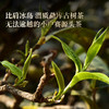【2025年春茶预售】【小户赛】临沧勐库小户赛 “最贴近茶祖的地方” 高香四溢不输冰岛！普洱茶生茶 357克/饼 商品缩略图3