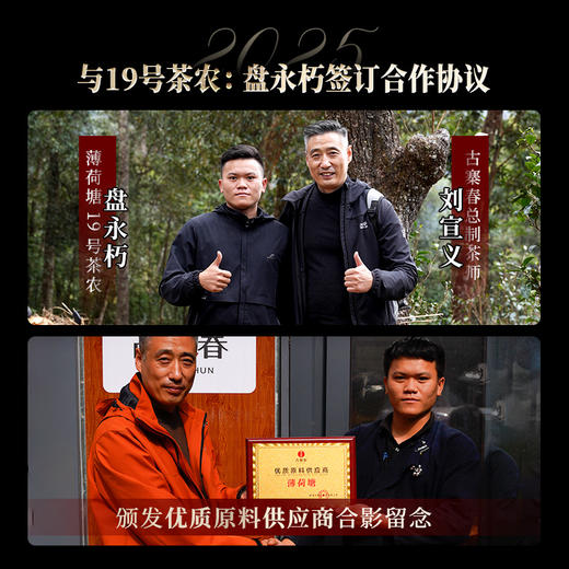 【薄荷塘】与19号茶农共同背书 保真保纯！超II类古树王，生而尊贵自带光环，店铺连续多年的“销量王”“复购王” 云南普洱茶生茶 357克/饼 拍5发6 商品图3