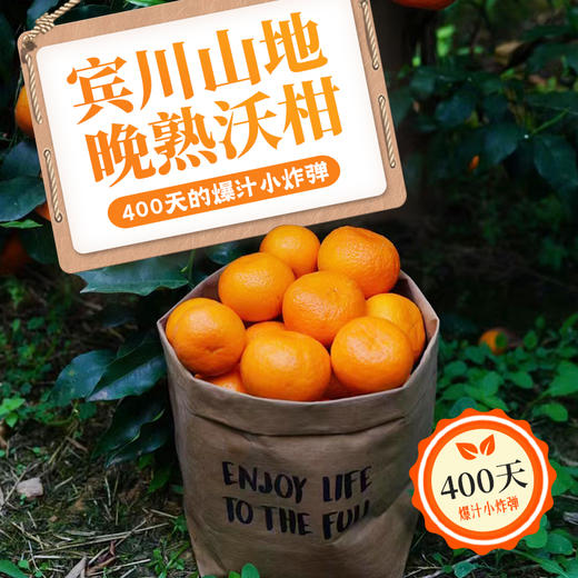 【宾川沃柑】云南宾川高山沃柑新鲜水果当季整箱精品橘桔子蜜甜现摘 商品图2