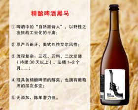 【特价促销，整箱更优惠】西班牙精酿黑马：迷失子弹精酿啤酒