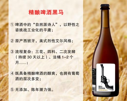【特价促销，整箱更优惠】西班牙精酿黑马：迷失子弹精酿啤酒 商品图0