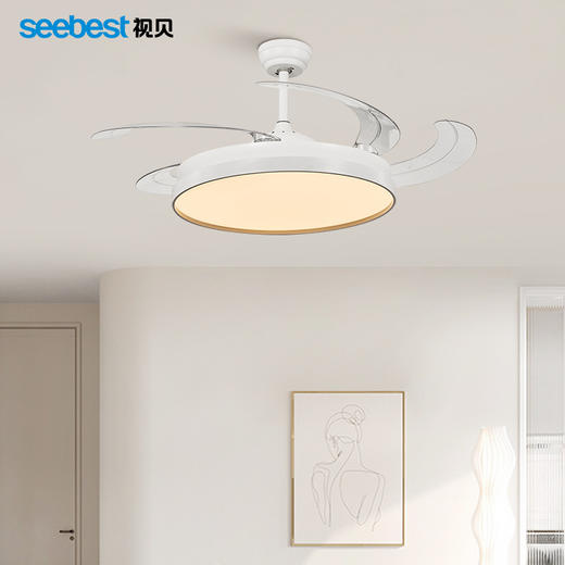 迎悦-风扇灯（52寸四叶） 商品图1