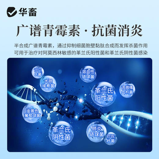 华畜 1g*10支注射用阿莫西林钠 抗菌消炎 混合感染 胸膜肺炎 商品图2