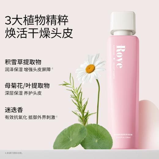 【控油/洗护】Roye若也去屑止痒/控油蓬松/滋养柔净/防脱固发 洗发水洗发露洗头膏男女柔顺洗发液套装 商品图6