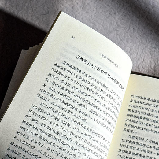 审美、行动与乌托邦 威廉·莫里斯的政治思想 欧诺弥亚·不列颠古典法学丛编 商品图9